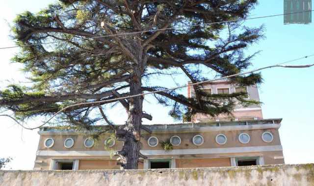 Bari, l'abbandono di Villa Rosa: ci che resta dell'antica ed elegante San Girolamo